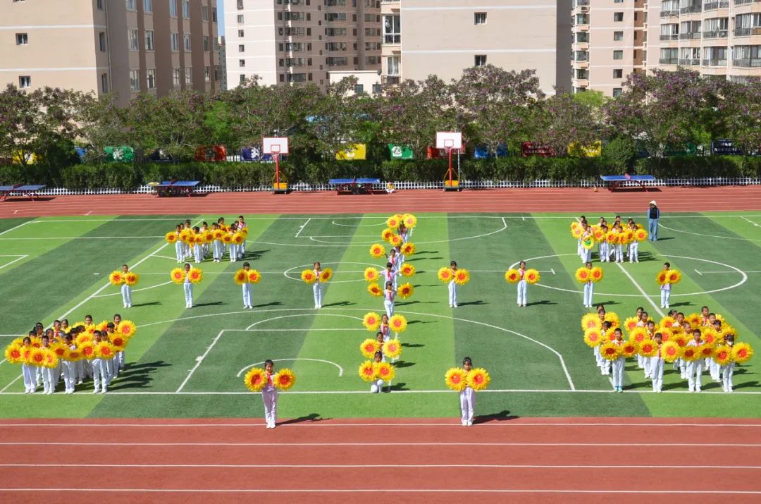 305.jpg