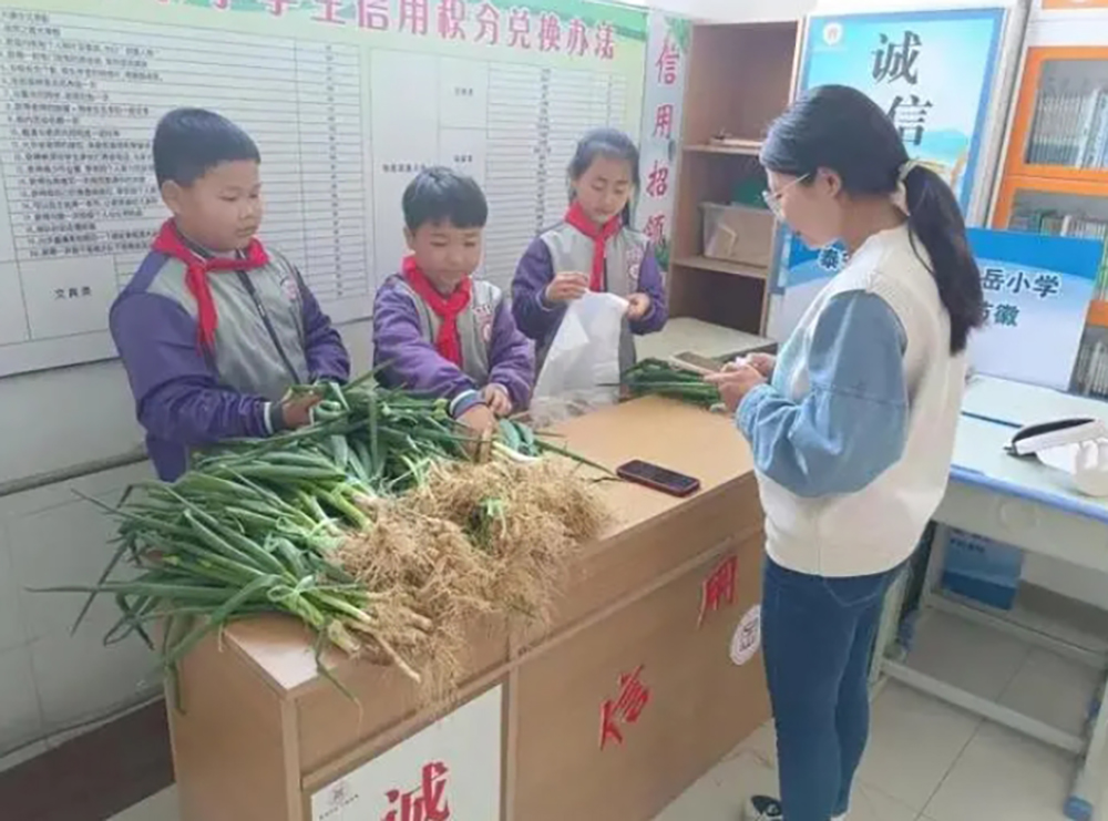 微信截图_20240905152024.png