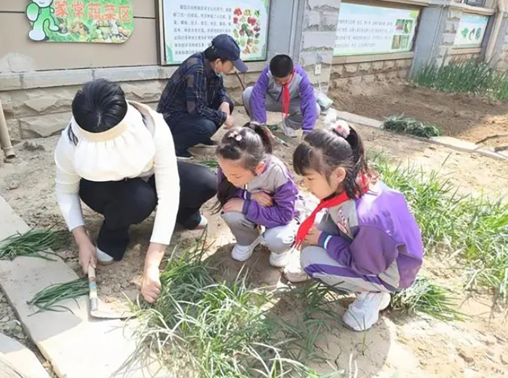 微信截图_20240905152038.png