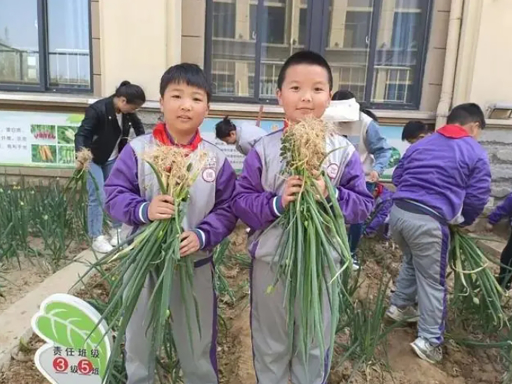 微信截图_20240905152044.png
